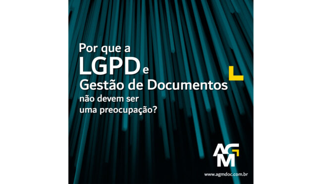 A LGPD e o que sua empresa precisa saber