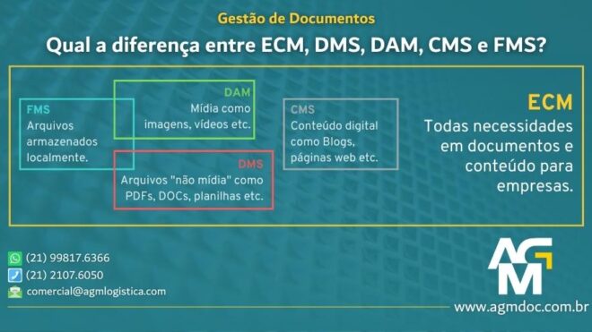 Qual a diferença entre ECM, DMS, DAM, CMS e FMS?